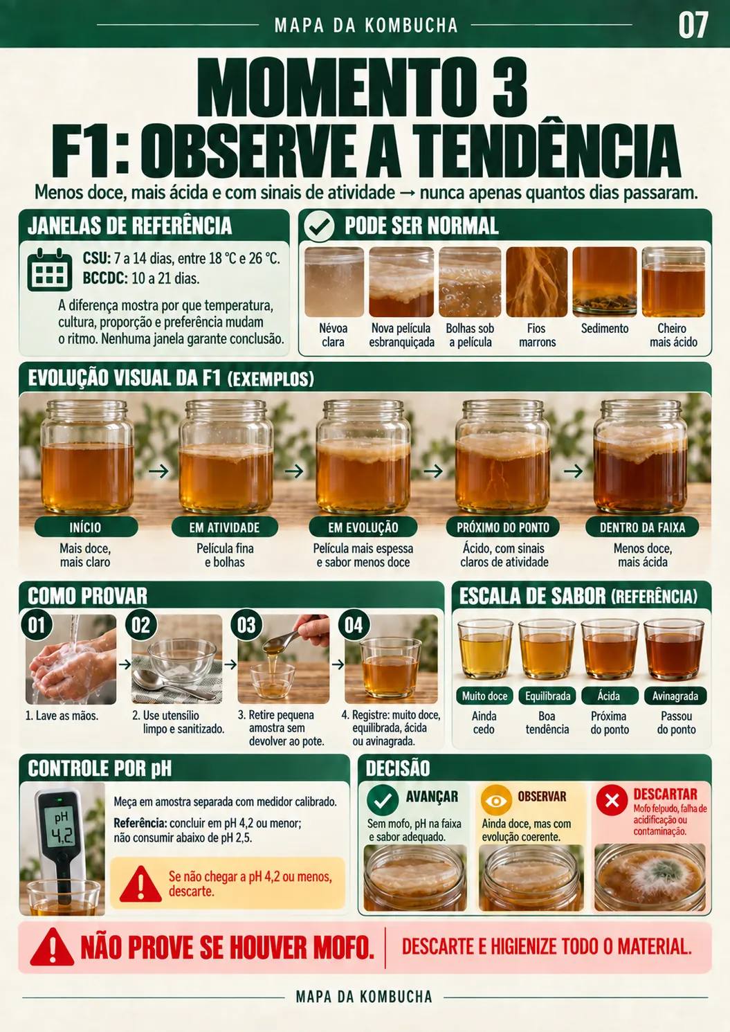 Página para acompanhar os sinais da primeira fermentação