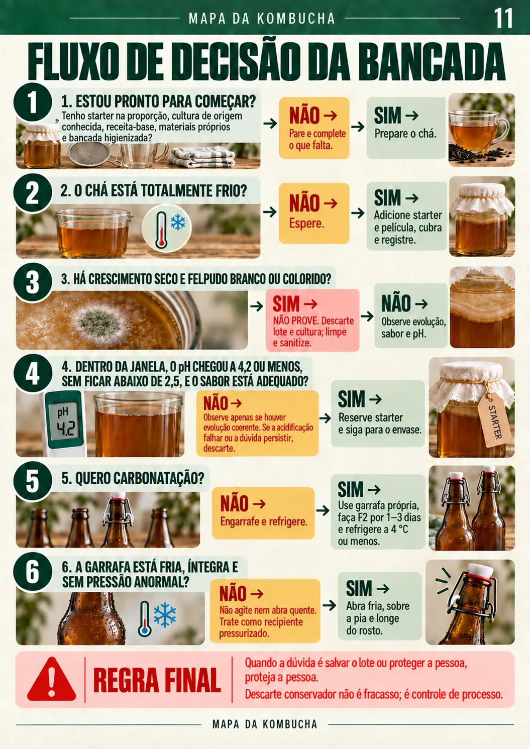 Página com o fluxo de decisão da leva